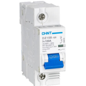 DZ158-125H-1P-125A-10kA-CHINT ELECTRIC