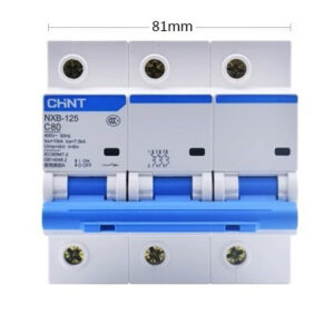 NXB-125-3P-80A-10kA-MCB-CHINT ELECTRIC